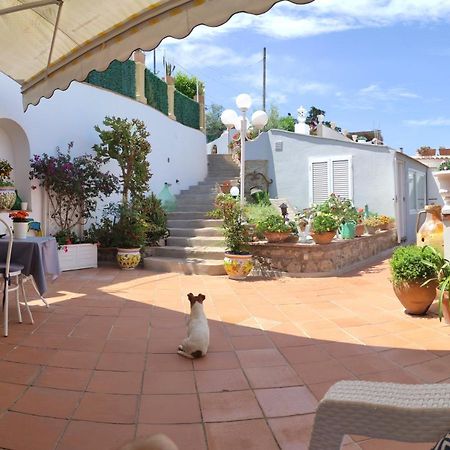 B&B Villa Cristina アナカプリ エクステリア 写真