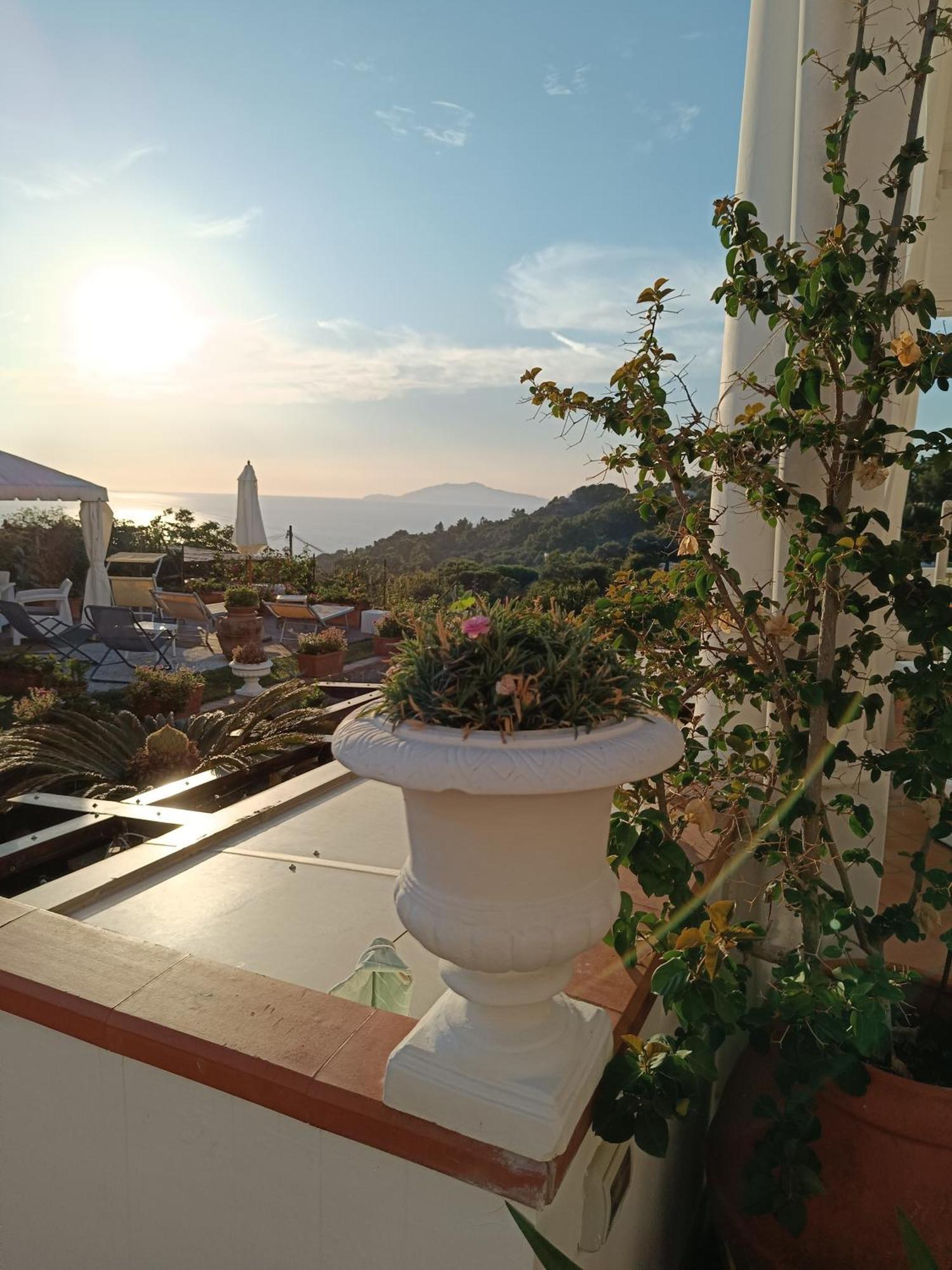 B&B Villa Cristina アナカプリ エクステリア 写真